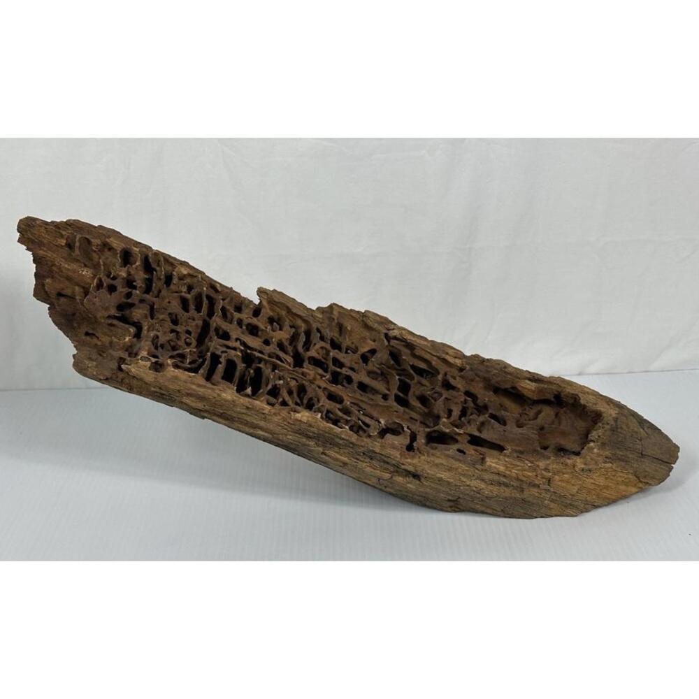Tree Driftwood Worm Wood Taxidermy‎ Mount River Decoration Beetlewood Wormwood